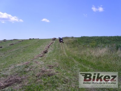2008 Ural Ranger 750