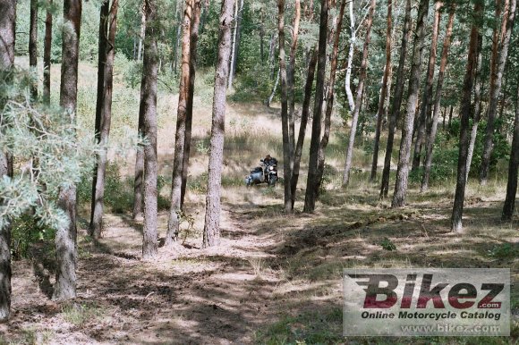 2008 Ural Ranger 750