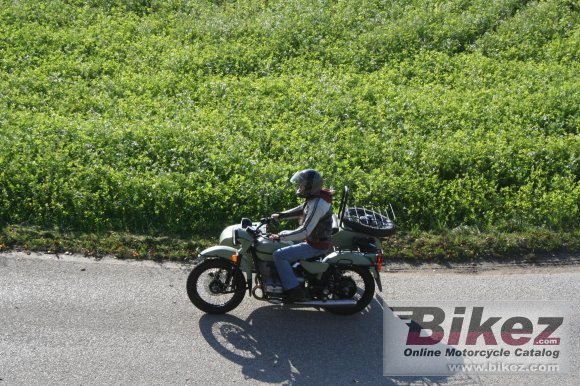 2014 Ural Ranger Frog