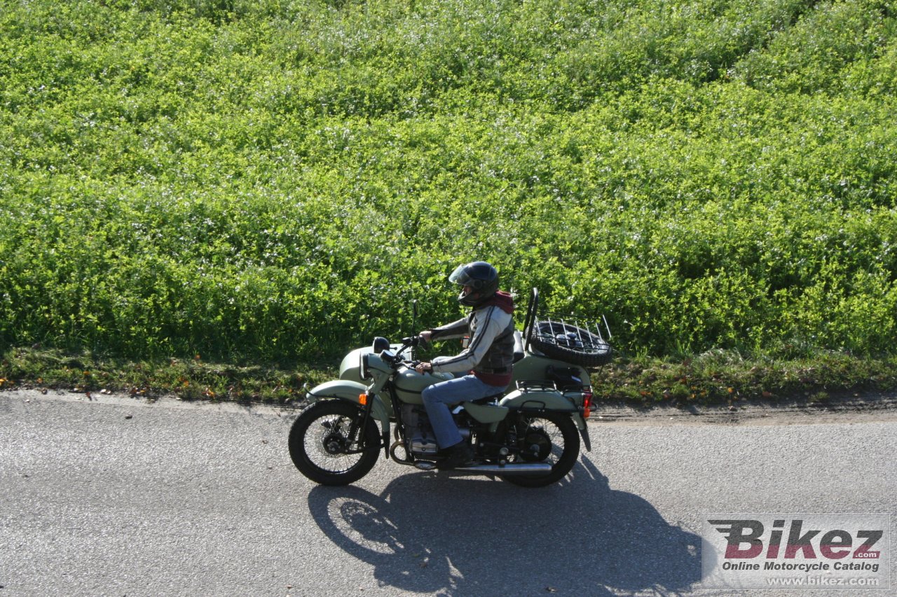 Ural Ranger Frog