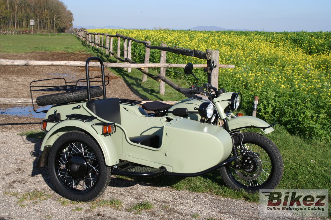 Ural Ranger Frog