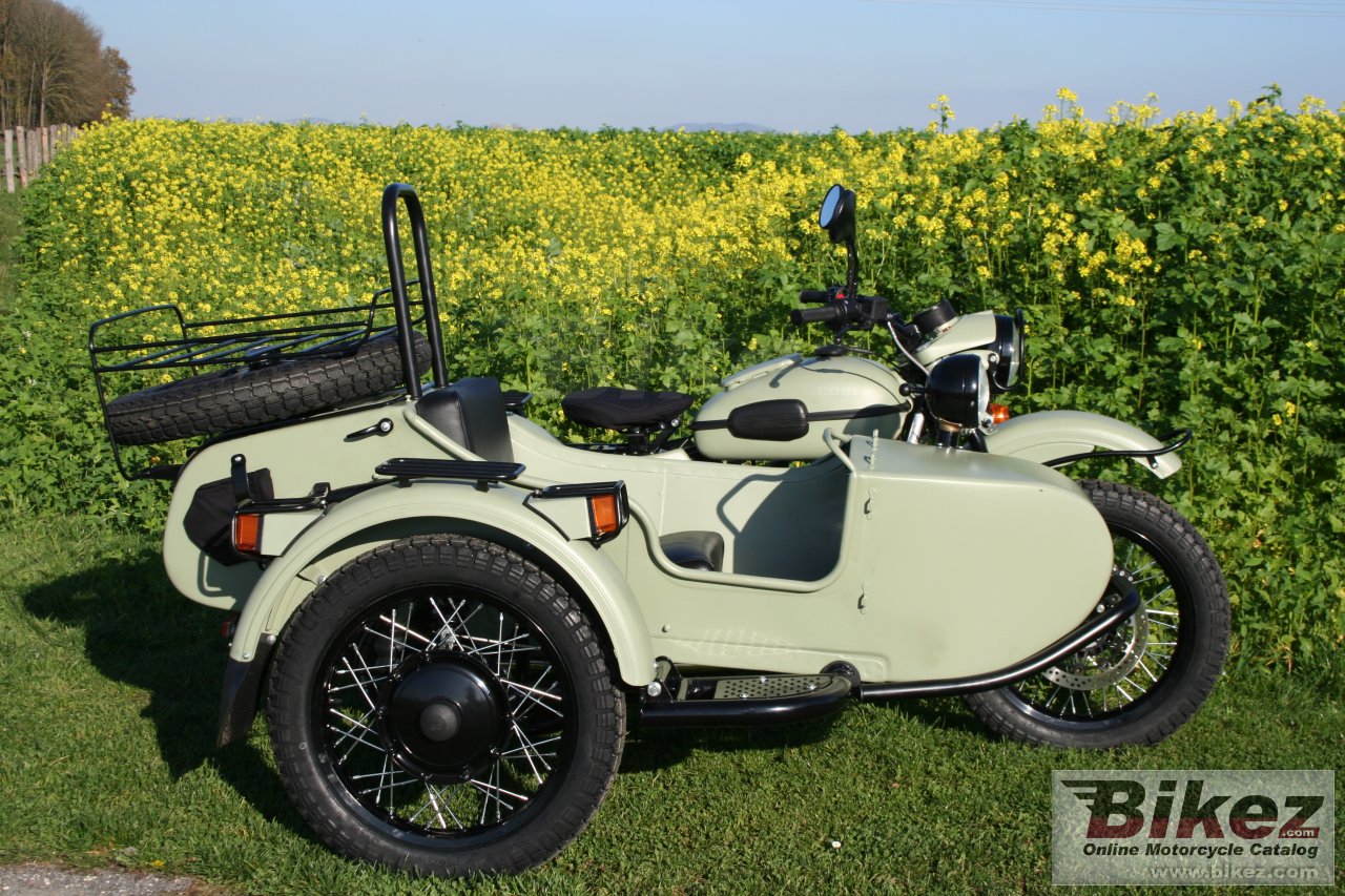 Ural Ranger Frog