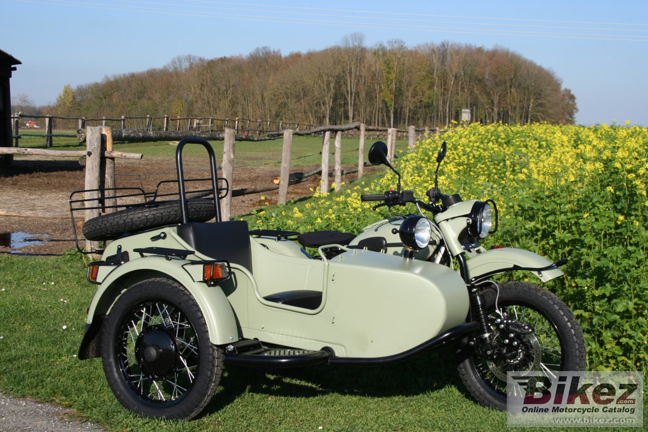 Ural Ranger Frog