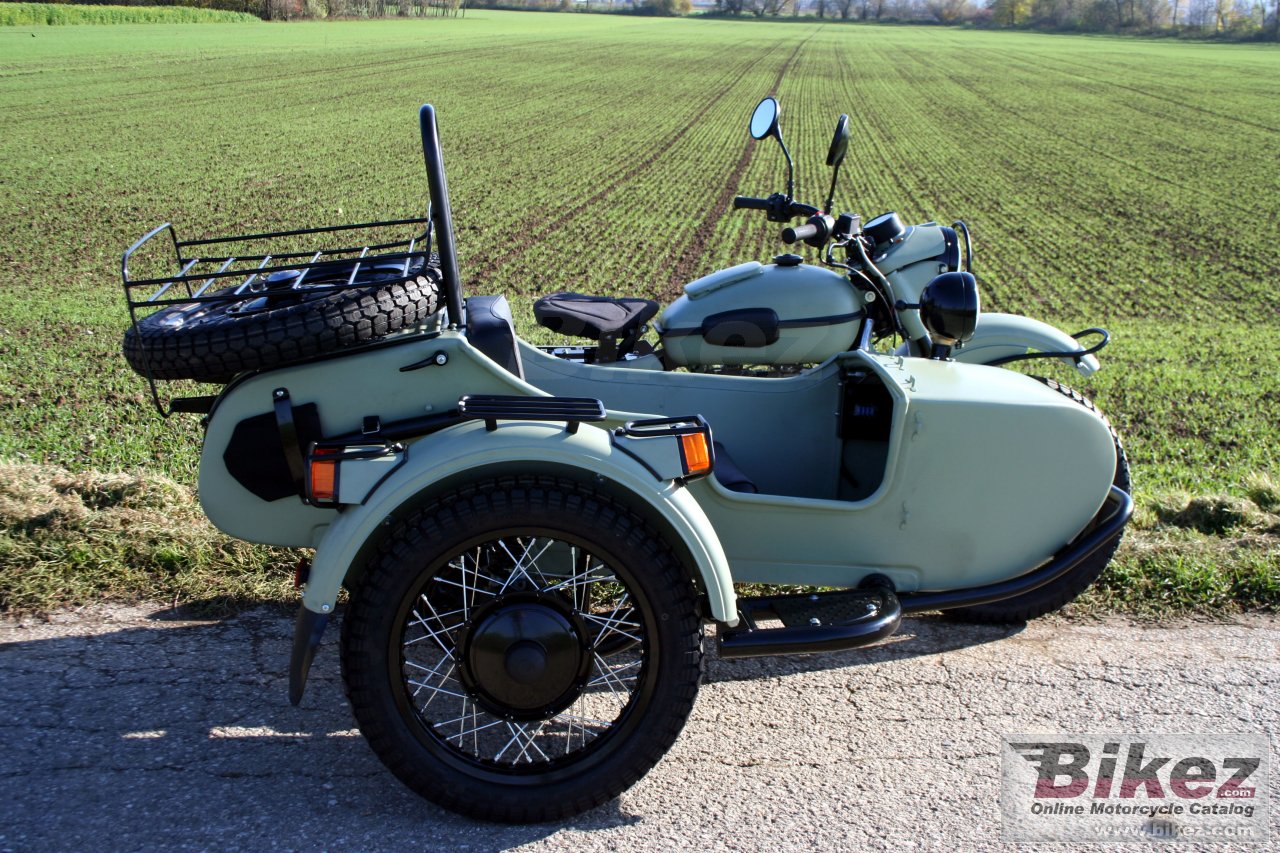 Ural Ranger Frog