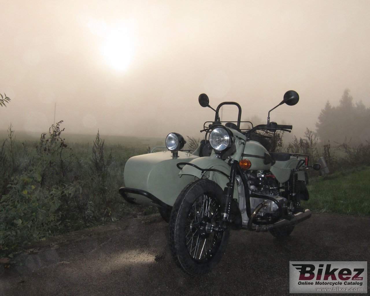 Ural Ranger Frog