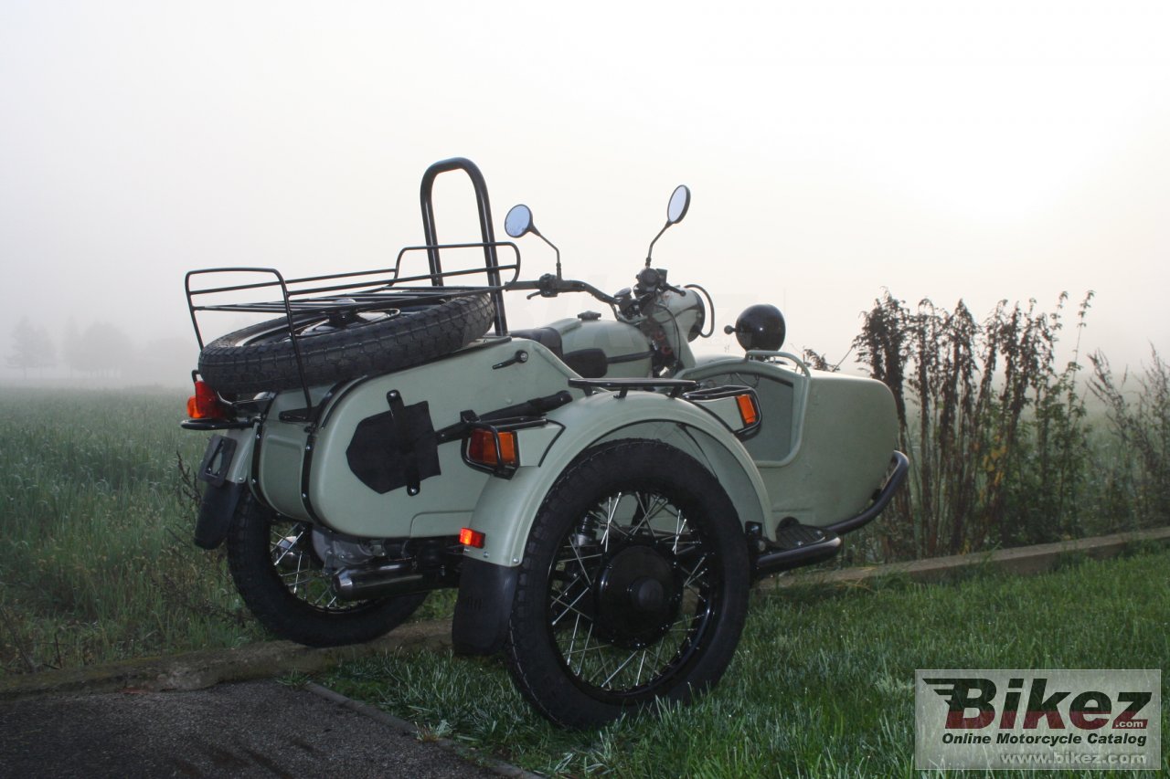 Ural Ranger Frog