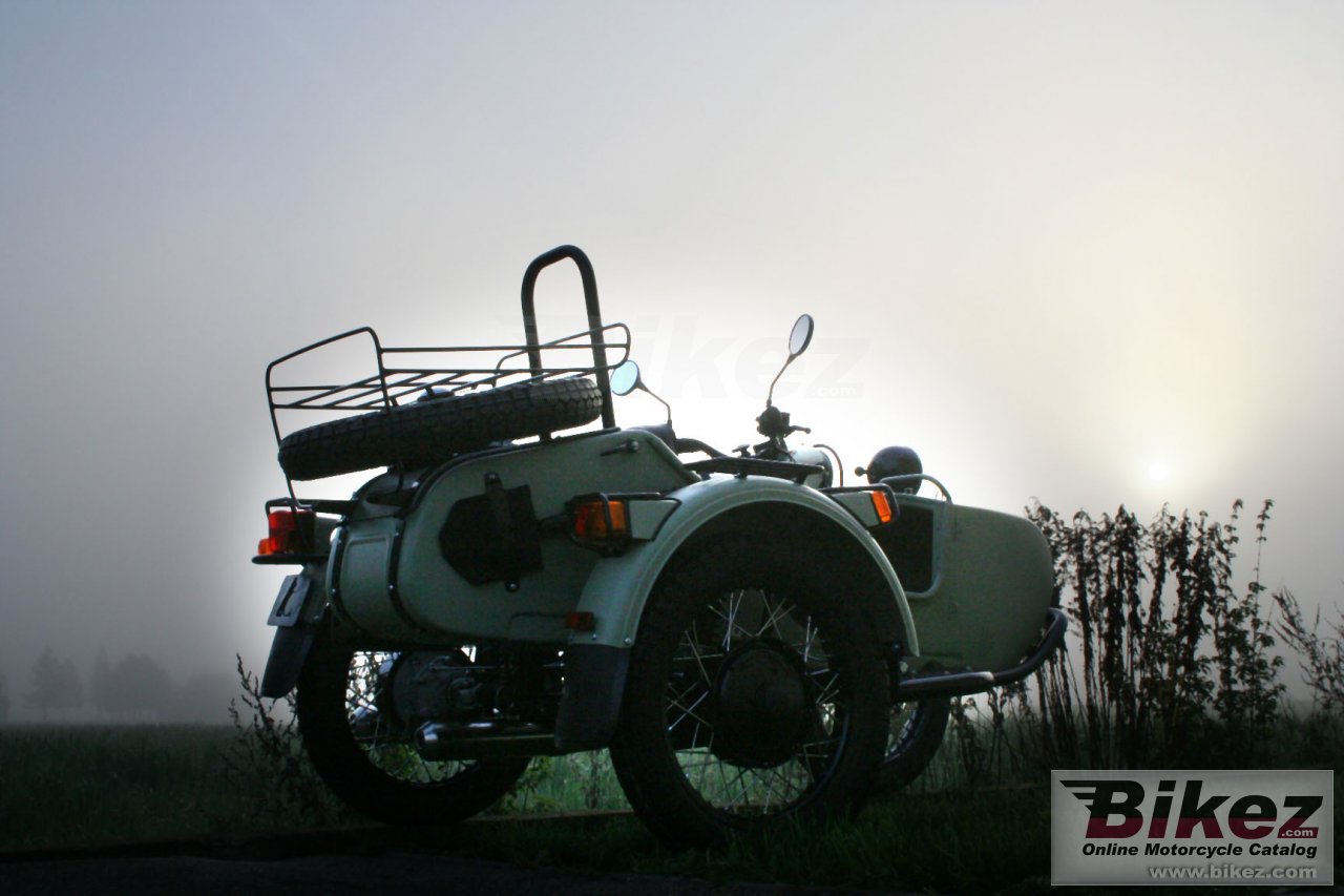 Ural Ranger Frog