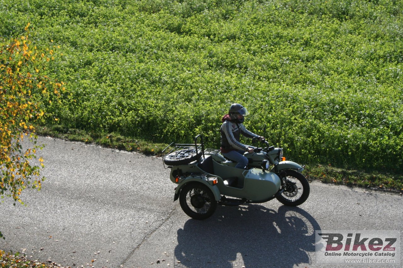 Ural Ranger Frog