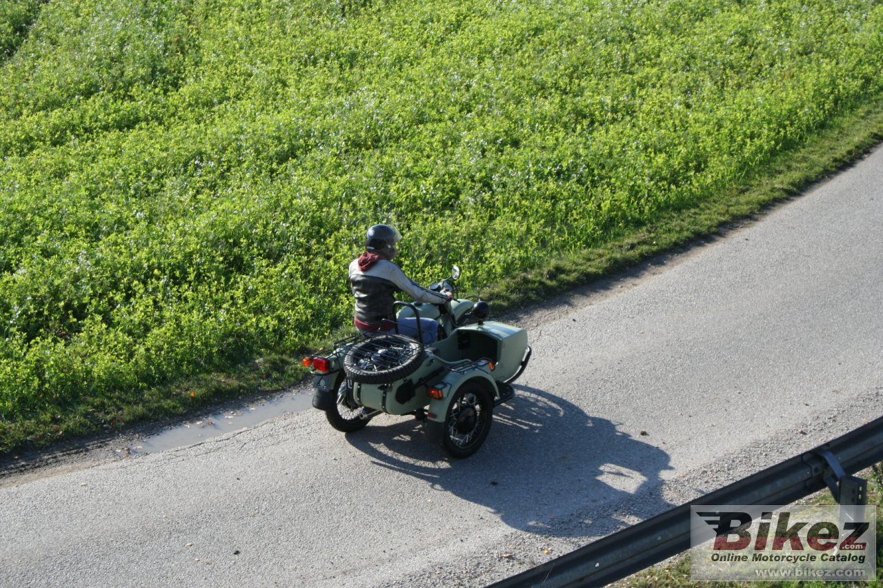 Ural Ranger Frog