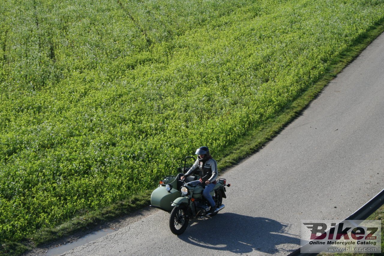 Ural Ranger Frog