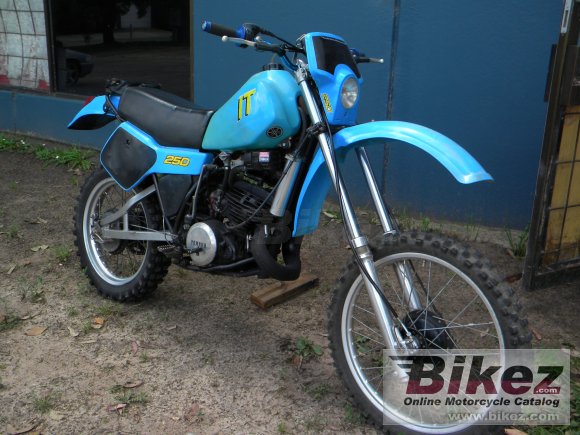 1982 Yamaha IT 250