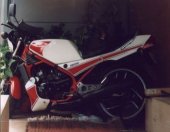 1983 Yamaha RD 350 LC YPVS (reduced effect)