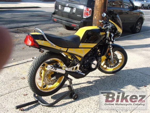 1984 Yamaha RZ 350