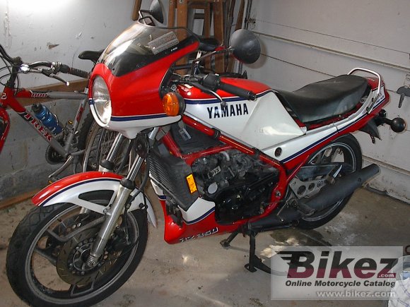 1984 Yamaha RZ 350