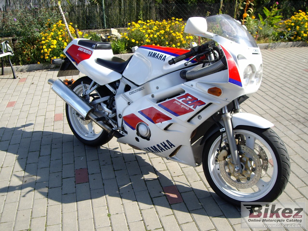 thumbnail image 2 of Yamaha FZR400 / FZR600 Exup Genesis Stainless Steel Engine Bolt Kit – UK Made, 6mm 2 of 5