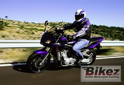 2001 Yamaha FZS 1000 Fazer