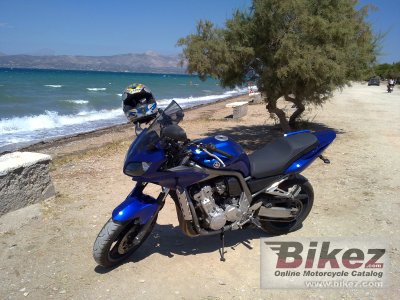 2001 Yamaha FZS 1000 Fazer