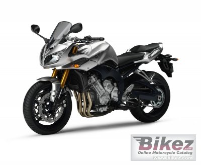 2006 Yamaha FZ1 Fazer