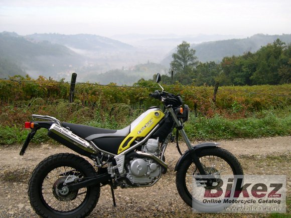 2006 Yamaha Tricker