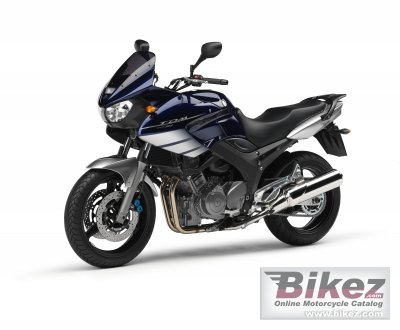 2006 Yamaha TDM 900
