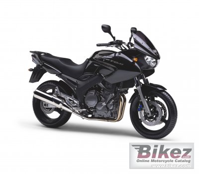 2006 Yamaha TDM 900