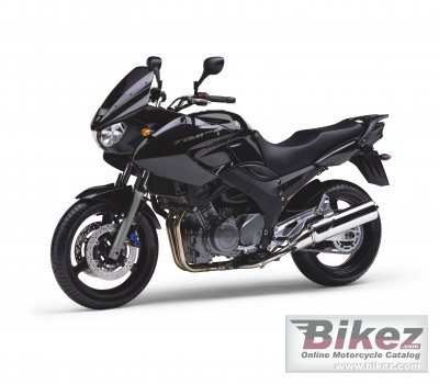 2006 Yamaha TDM 900