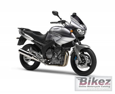 2006 Yamaha TDM 900