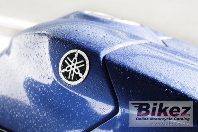 2007 Yamaha YZF-R1