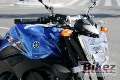 2007 Yamaha FZ1