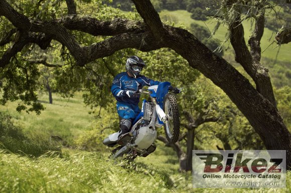 2007 Yamaha WR 450 F