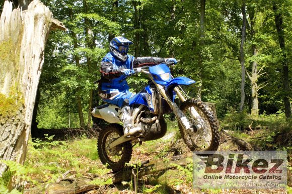 2007 Yamaha WR 250 F