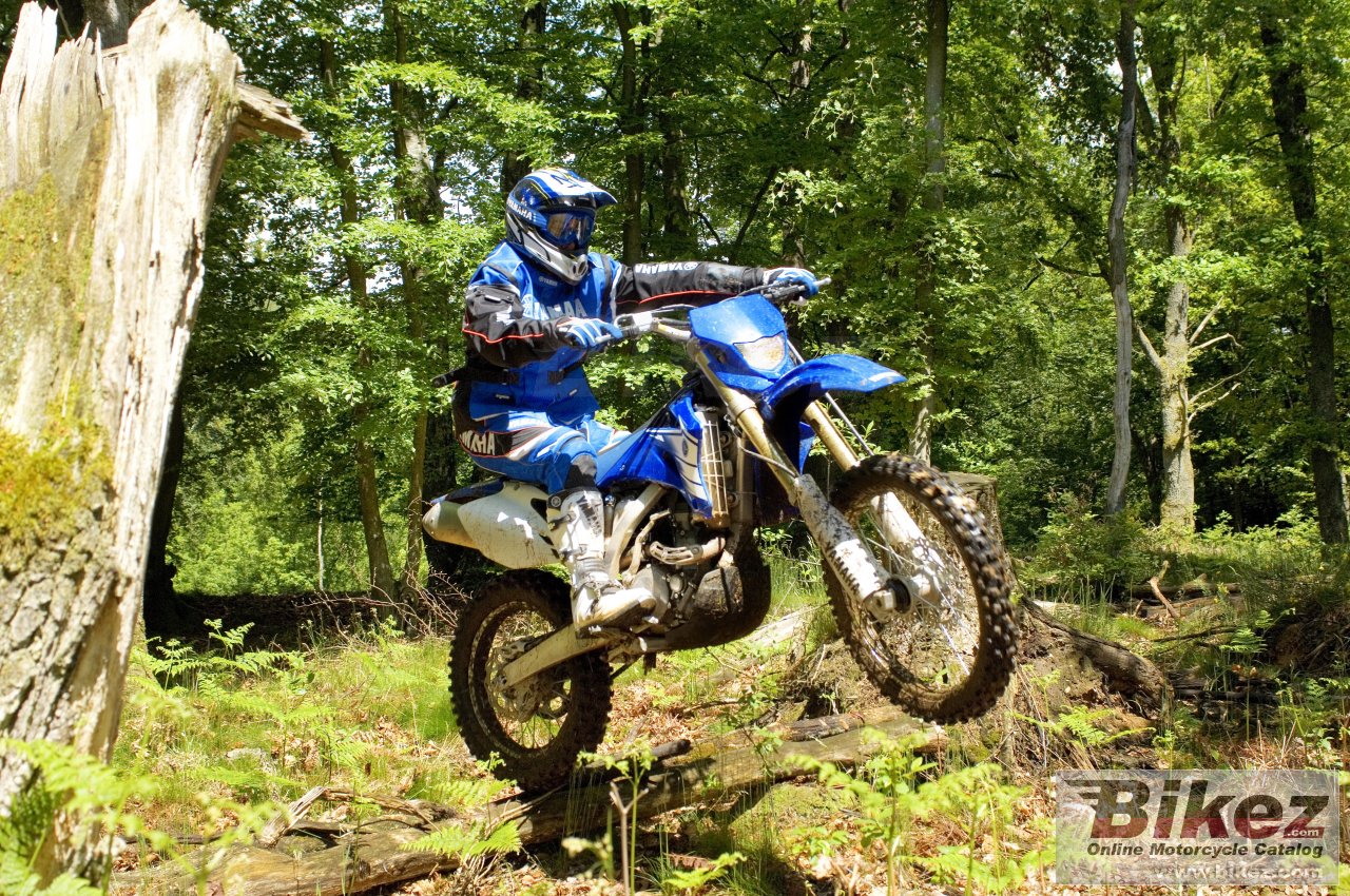 Yamaha WR 250 F