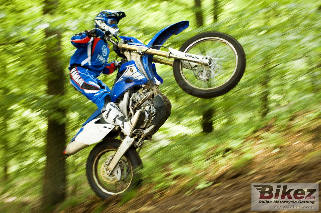 Yamaha WR 250 F