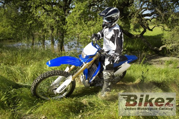 2007 Yamaha WR 250 F