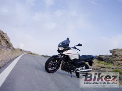 2007 Yamaha TDM 900 - A