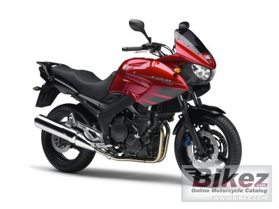 2007 Yamaha TDM 900 - A