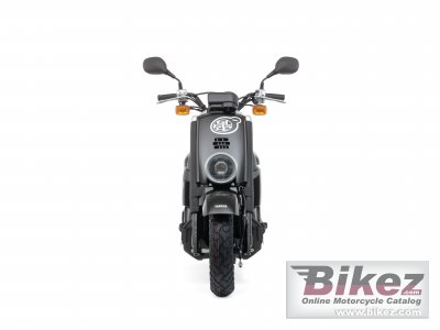 2007 Yamaha Giggle