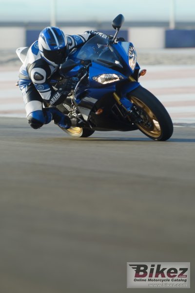 2008 Yamaha YZF-R6