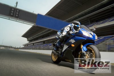 2008 Yamaha YZF-R6