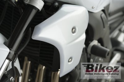 2008 Yamaha FZ1