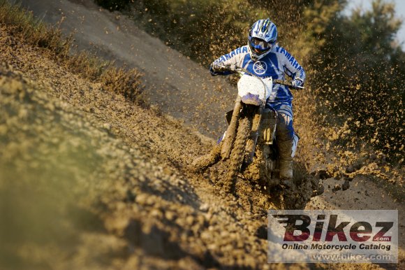 2008 Yamaha YZ450F