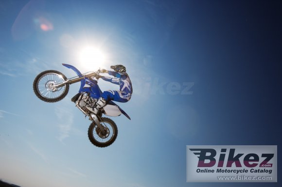 2008 Yamaha YZ250