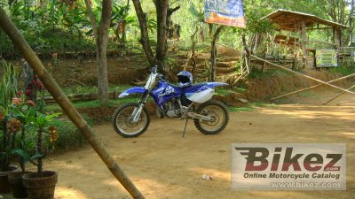 2008 Yamaha YZ250