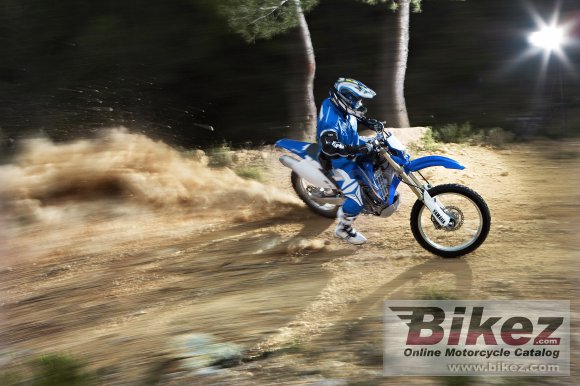 2008 Yamaha WR450F