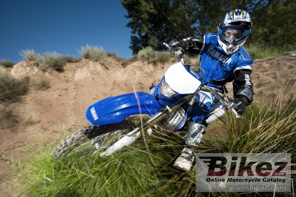 2008 Yamaha WR450F