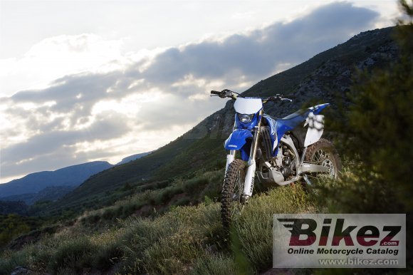 2008 Yamaha WR450F