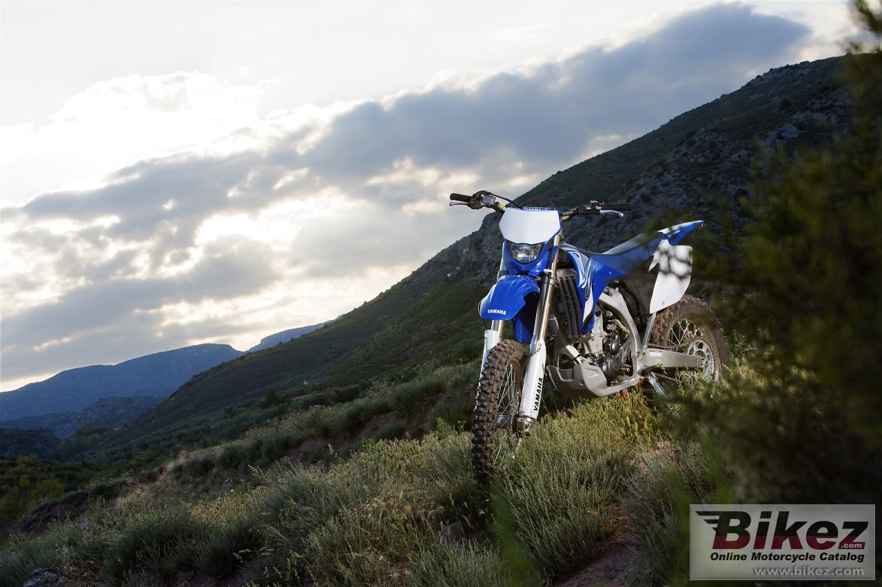 Yamaha WR450F