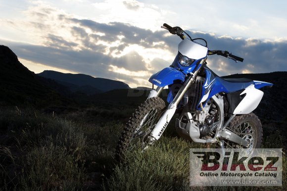 2008 Yamaha WR450F