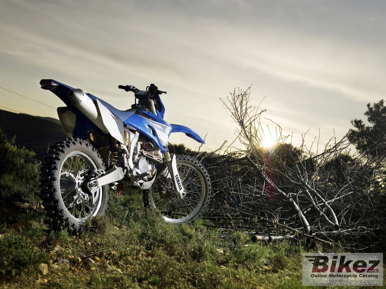 Yamaha WR450F