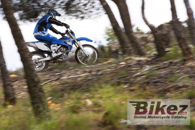 2008 Yamaha WR250F